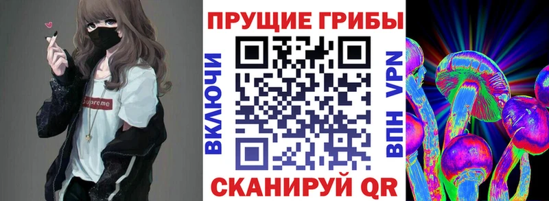 Галлюциногенные грибы Psilocybine cubensis  Купить закладки  Котельники 
